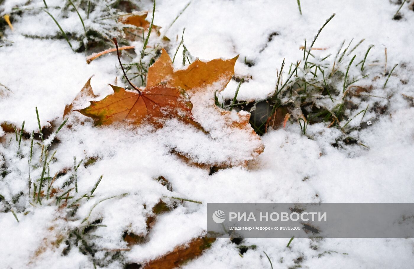 Первый снег в Москве