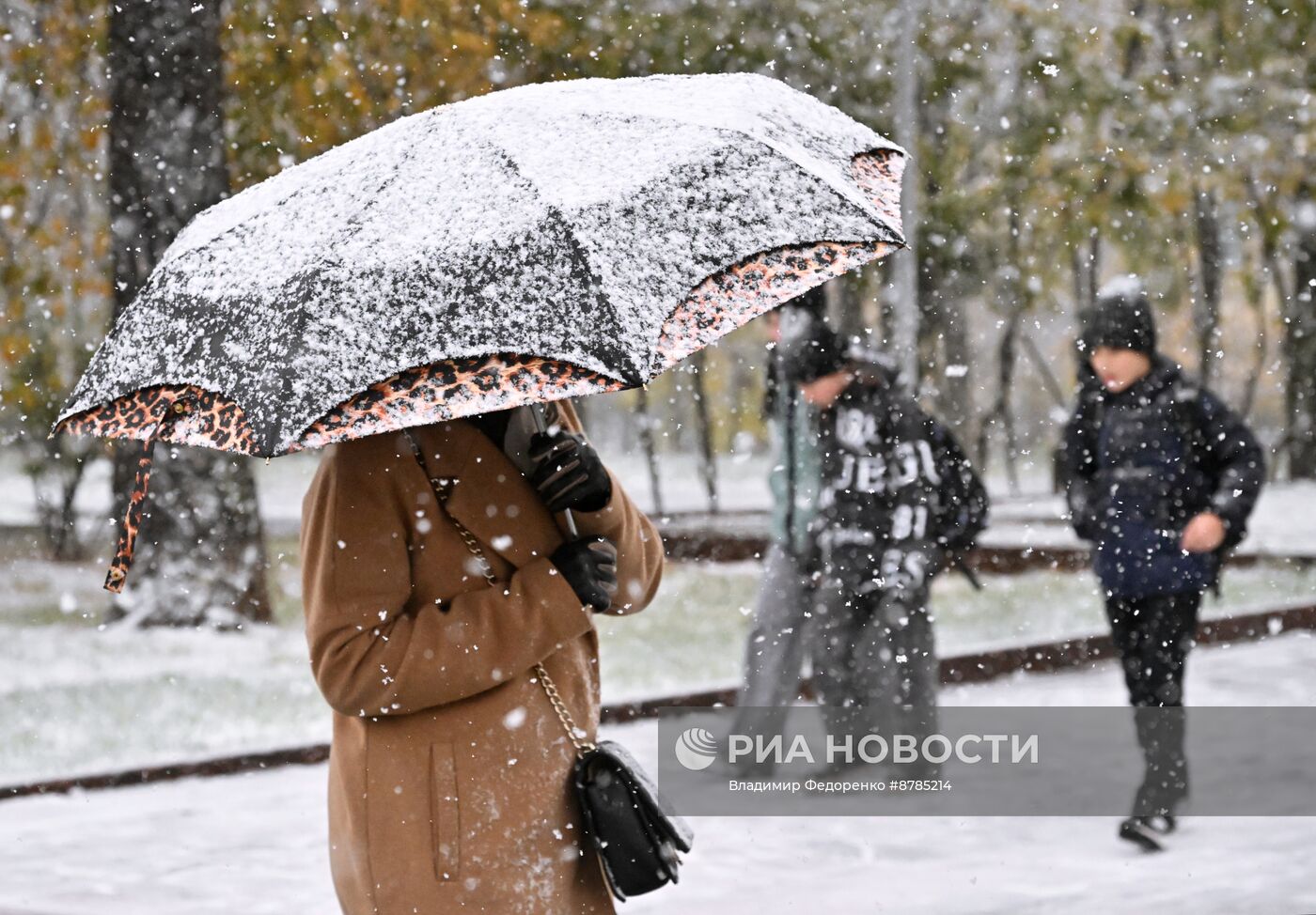 Первый снег в Москве