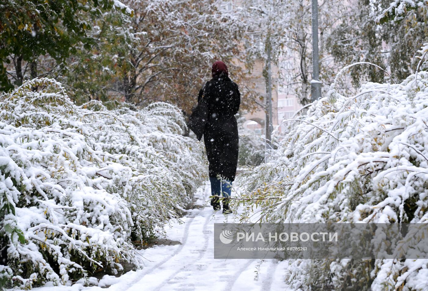 Первый снег в Москве