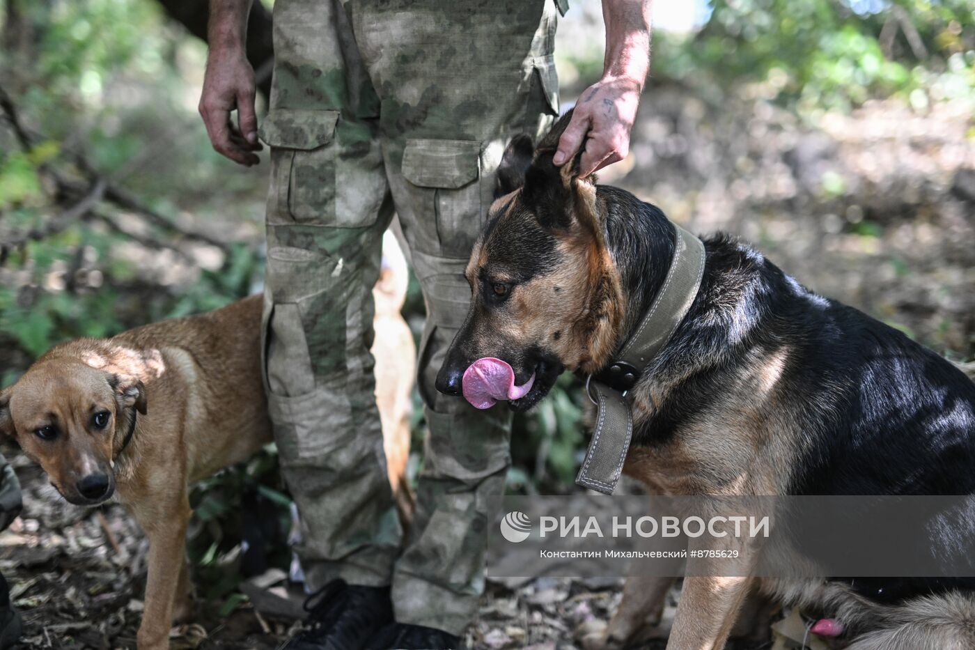 Танкисты ВС РФ на Запорожском направлении