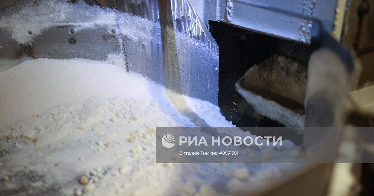 Производство сахара в Краснодарском крае | РИА Новости Медиабанк