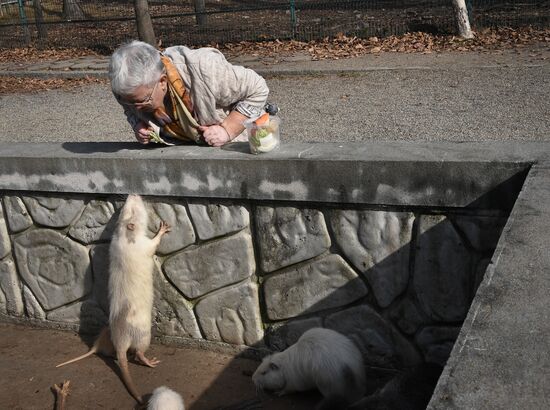 Нутрии в зоопарке "Садгород" во Владивостоке 