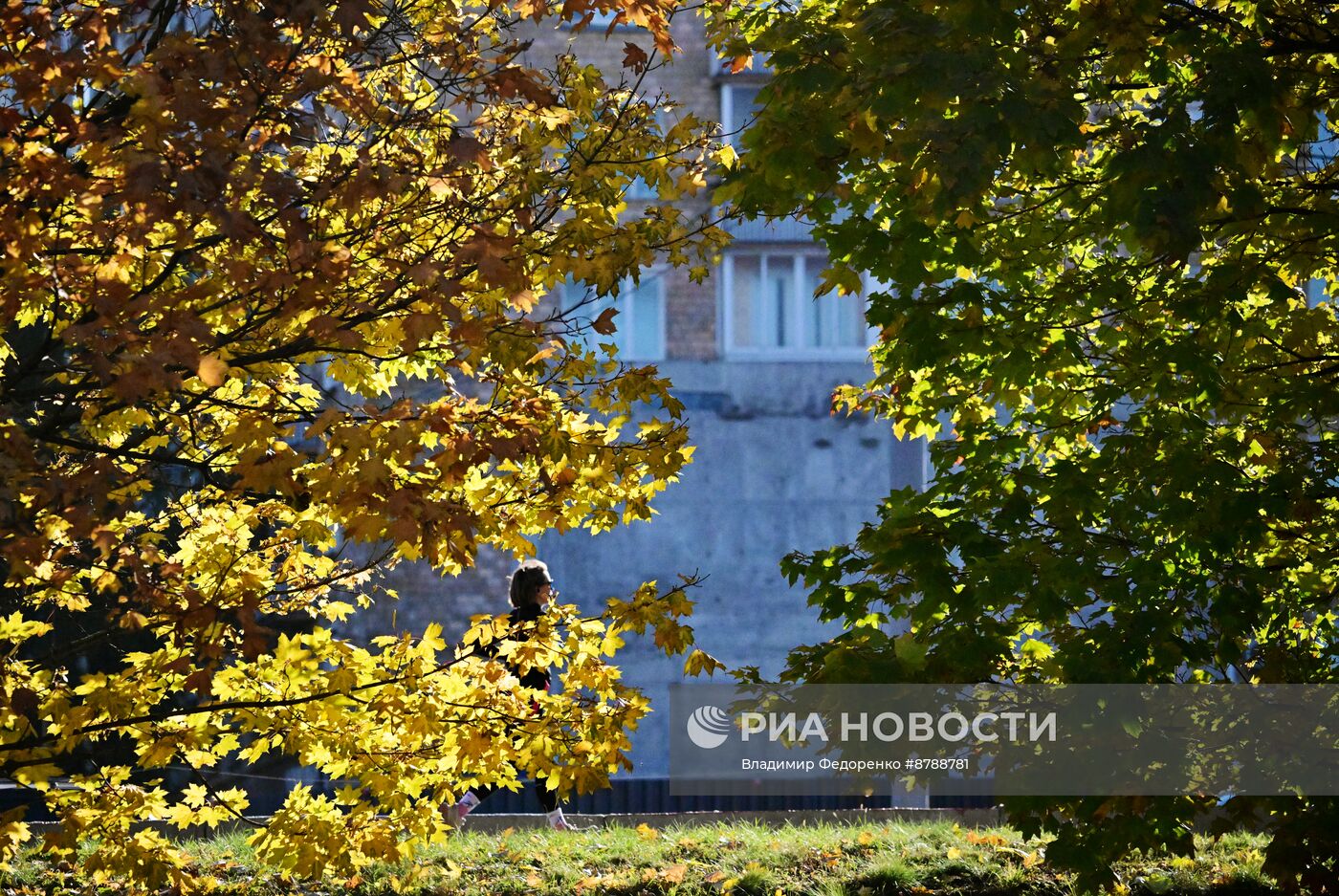 Осень в Москве