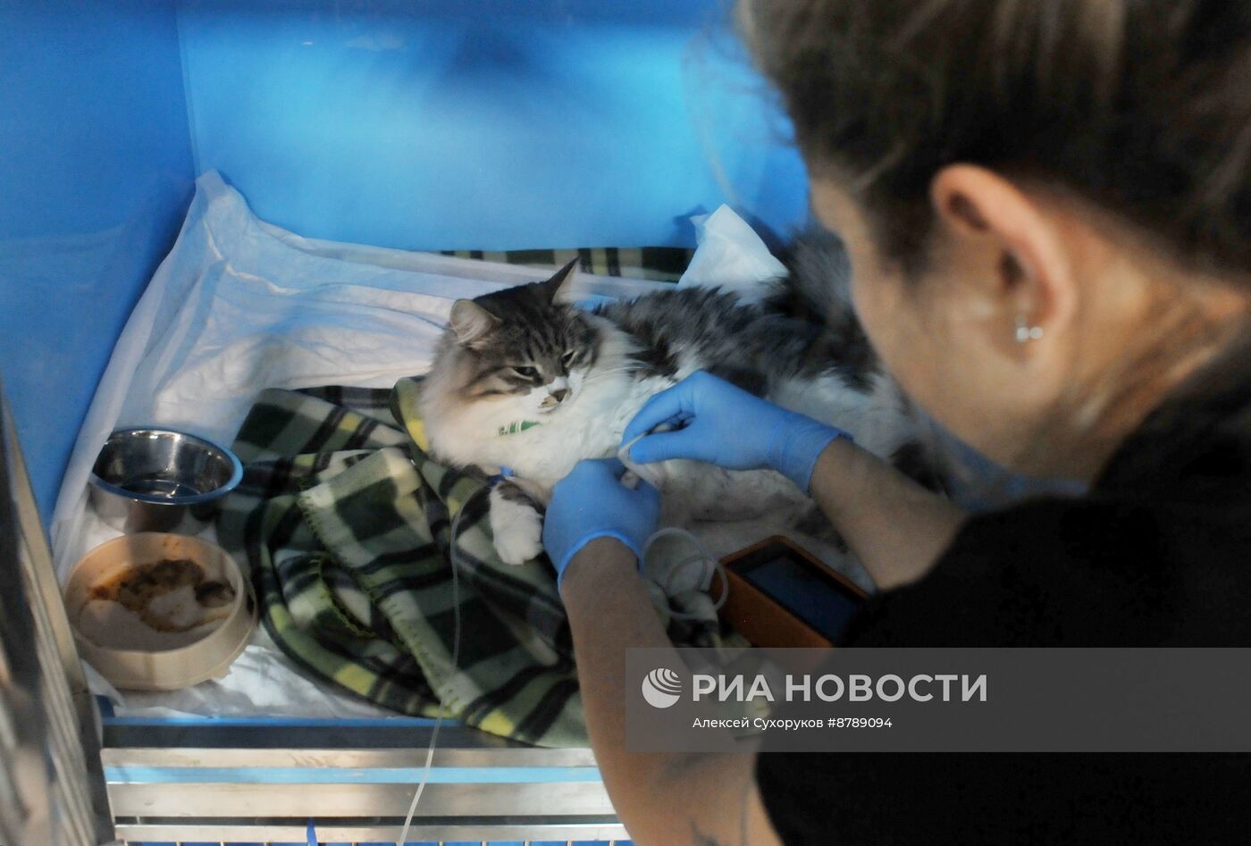 Работа ветеринарной клиники в Тамбове