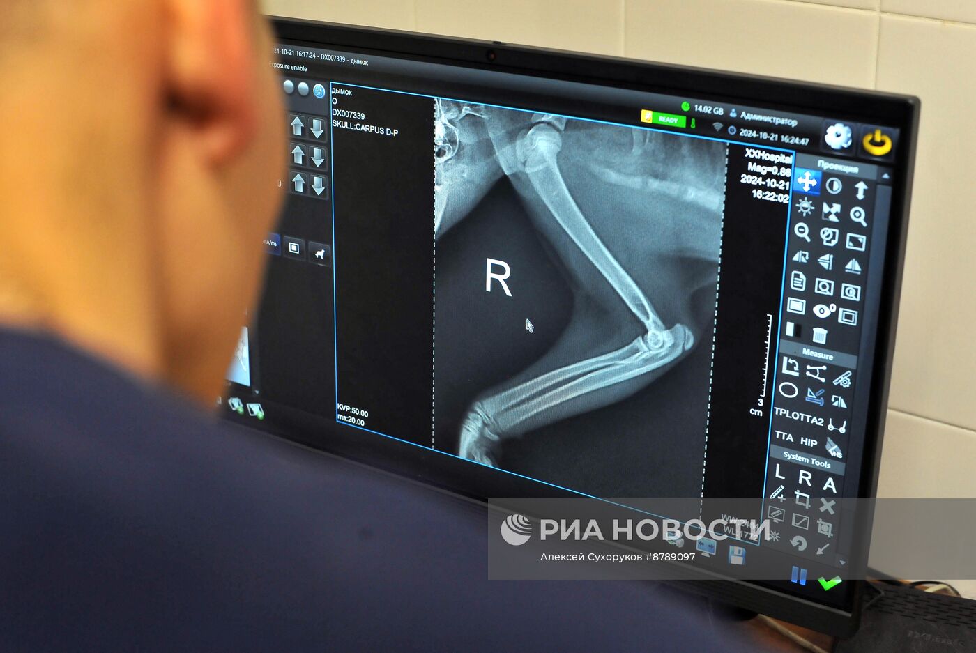Работа ветеринарной клиники в Тамбове