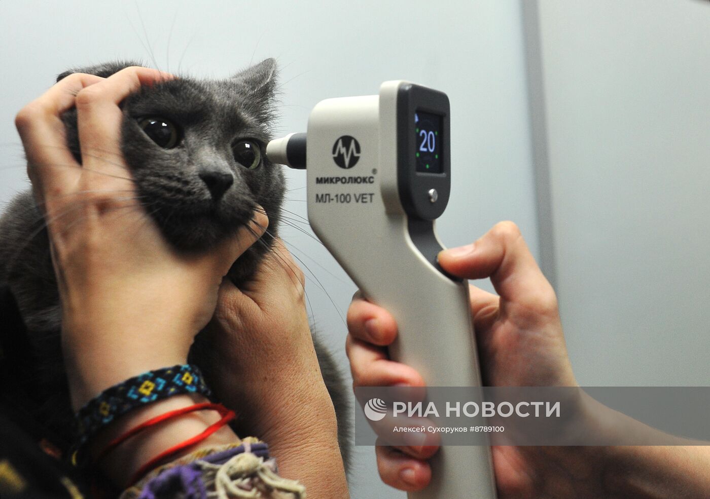 Работа ветеринарной клиники в Тамбове