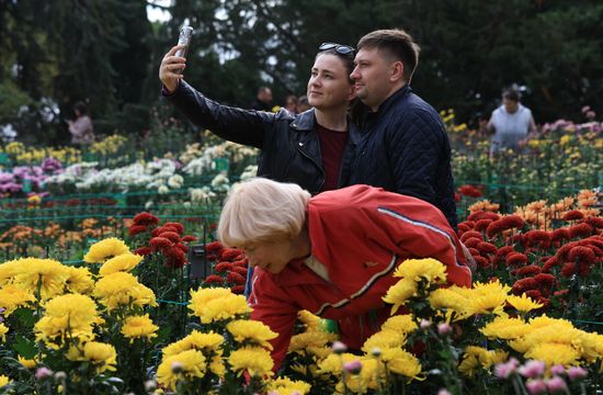 "Бал хризантем" в Никитском ботаническом саду