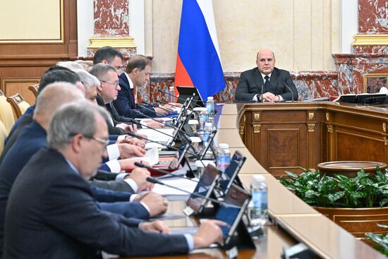 Премьер-министр Михаил Мишустин провел заседание правительства РФ