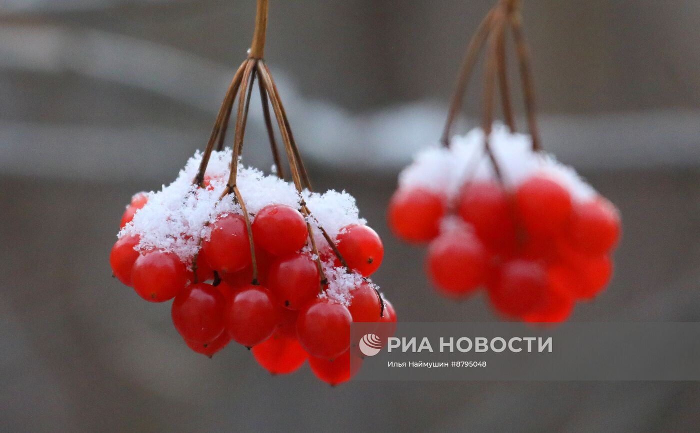 Снегопад в Красноярском крае 