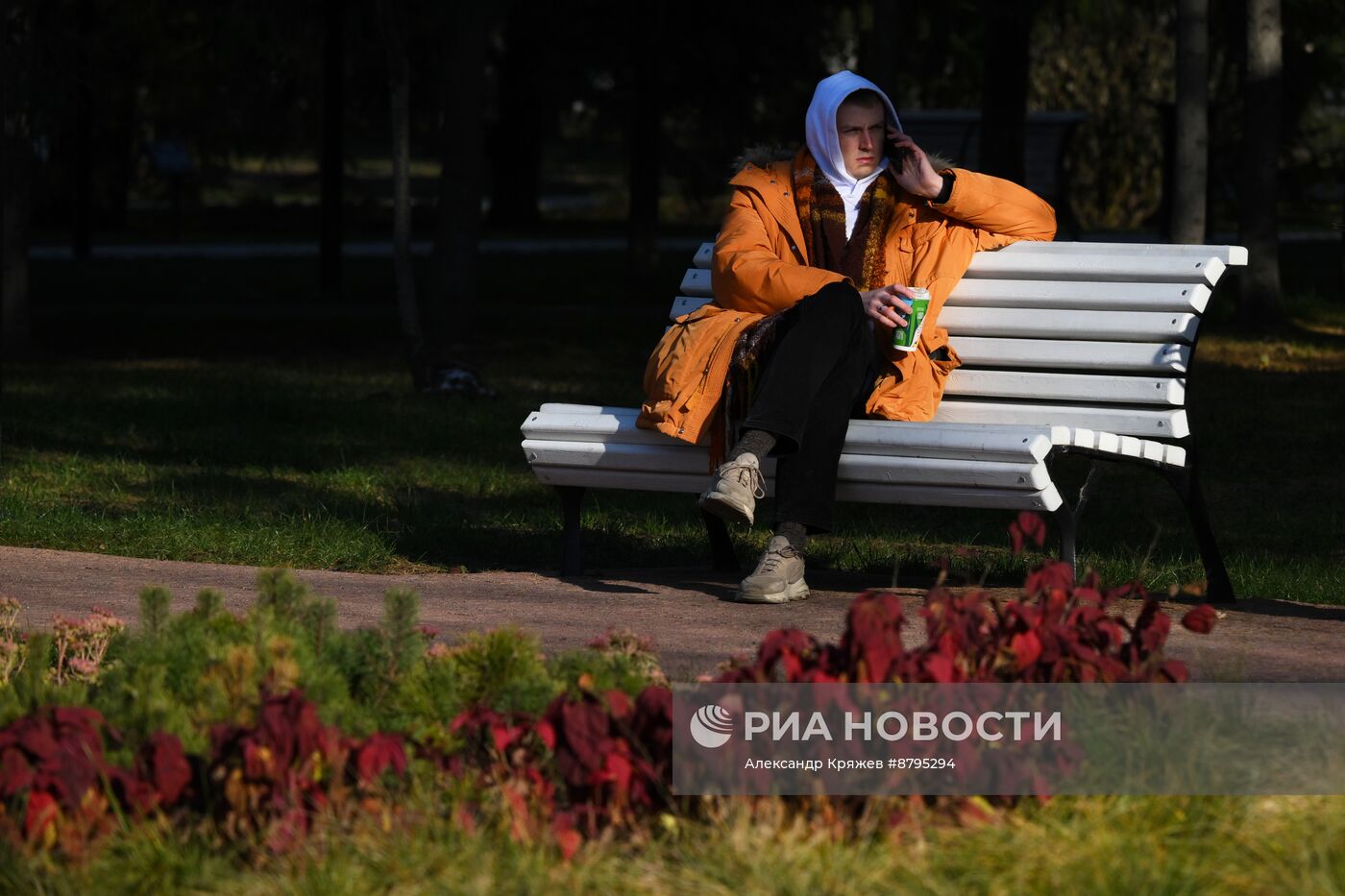 Осень в Новосибирске 