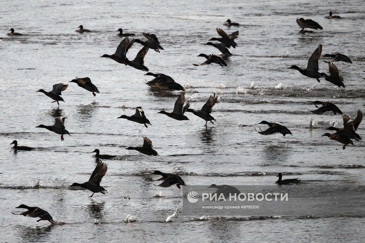 Осень в Новосибирске 