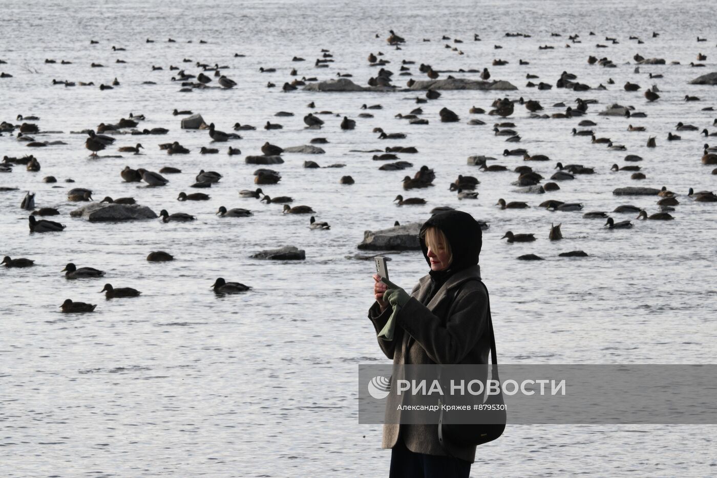 Осень в Новосибирске 