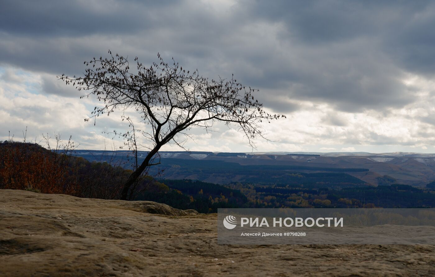 Регионы России. Ставропольский край