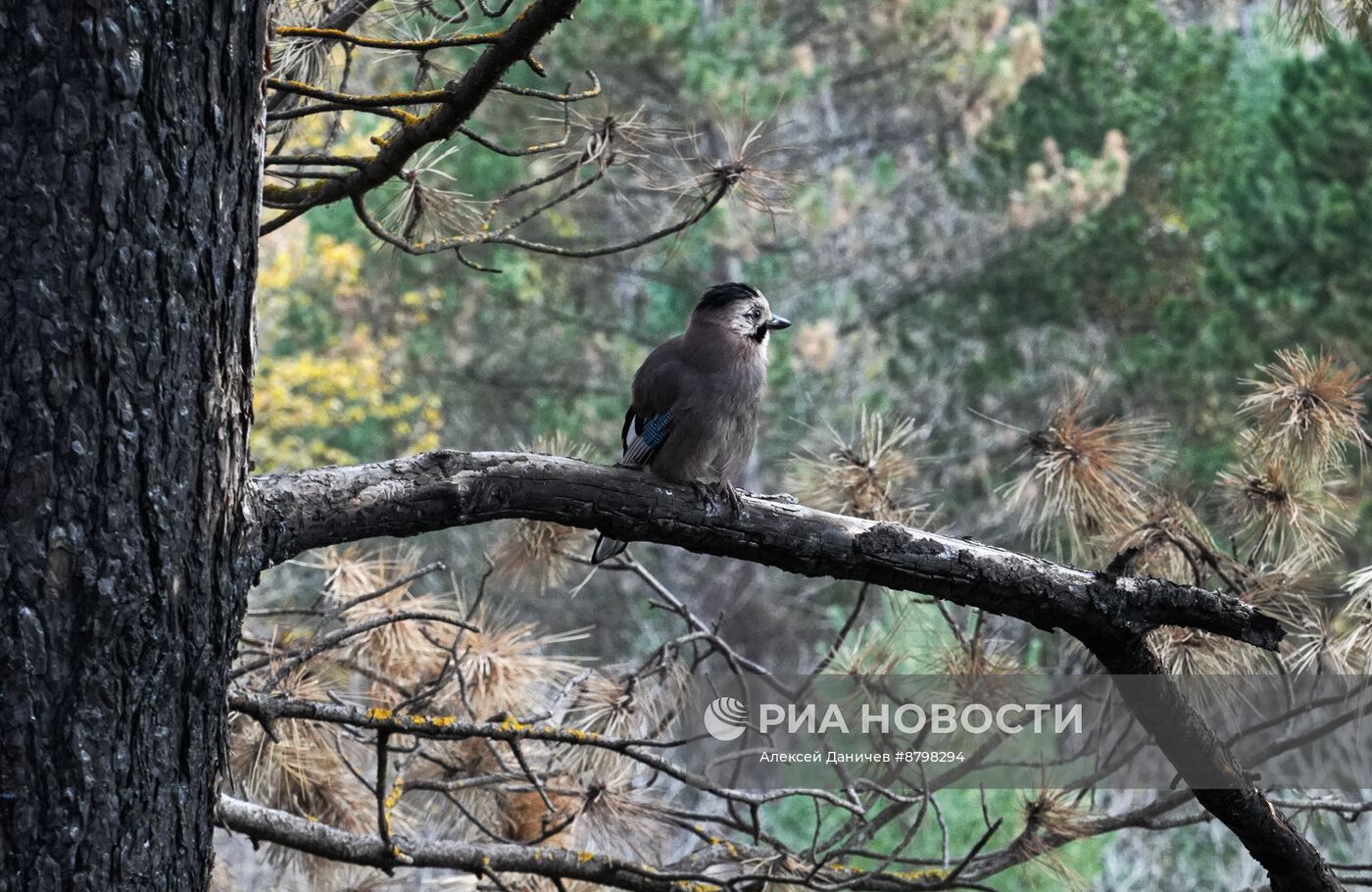 Регионы России. Ставропольский край