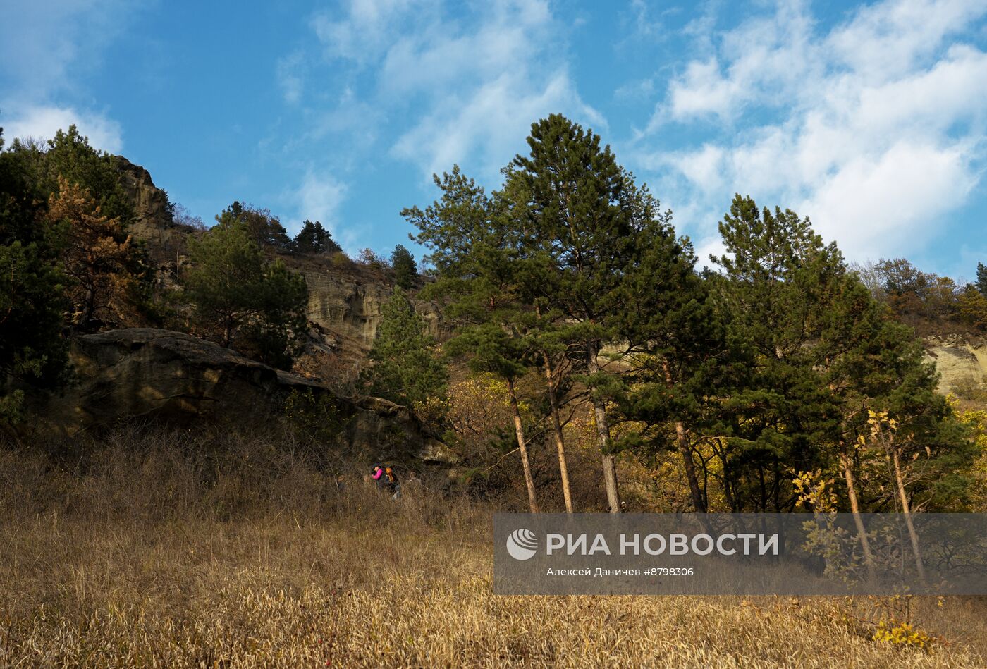 Регионы России. Ставропольский край