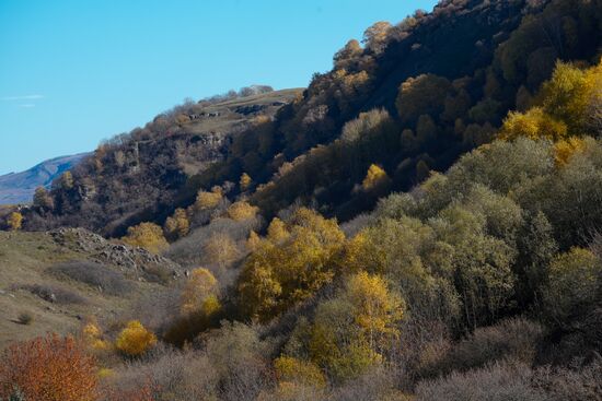 Медовые водопады в Карачаево-Черкесии