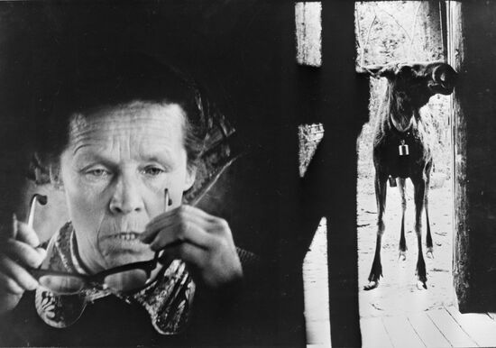 Сумароковская лосиная ферма