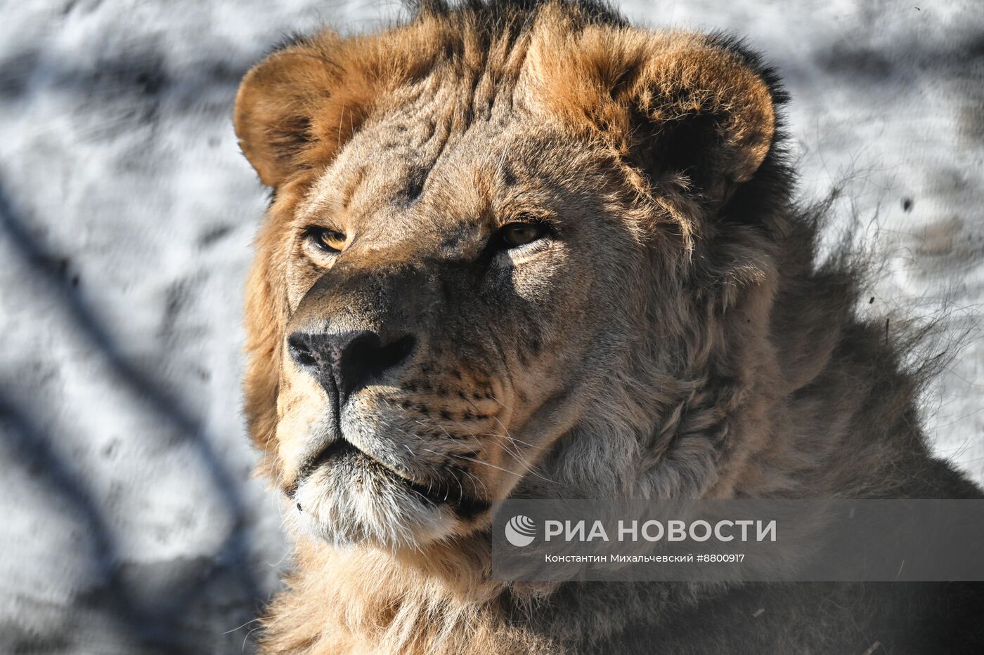 Васильевский зоопарк в Запорожской области