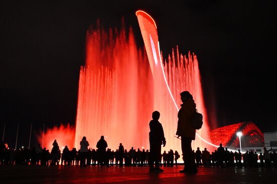 Шоу поющего фонтана в "Сириусе" в честь форума партнерства "Россия - Африка"