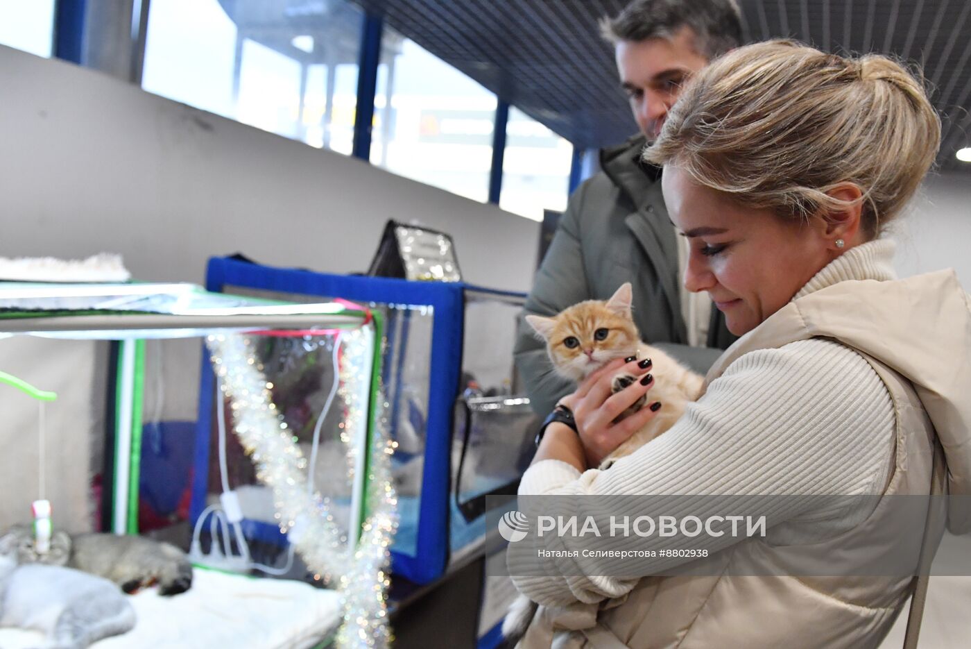 Выставка "КоШарики Шоу" в Москве