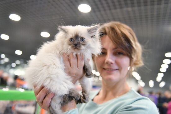 Выставка "КоШарики Шоу" в Москве