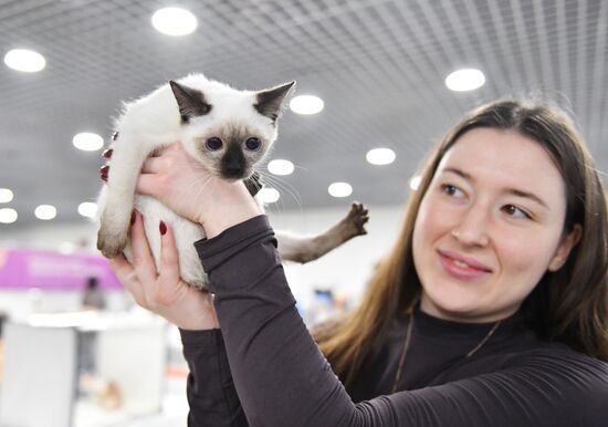 Выставка "КоШарики Шоу" в Москве