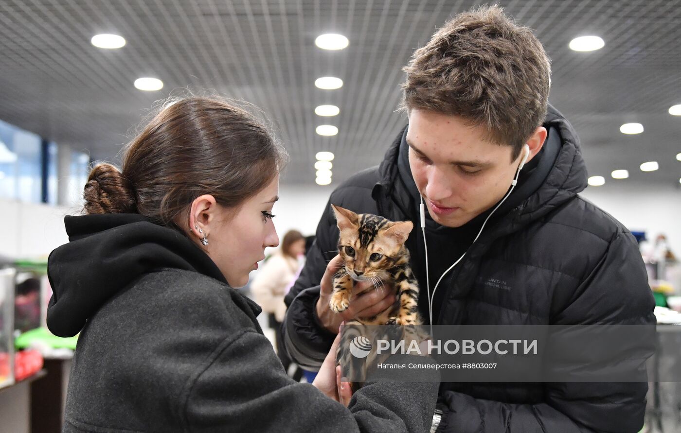 Выставка "КоШарики Шоу" в Москве