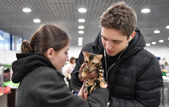 Выставка "КоШарики Шоу" в Москве