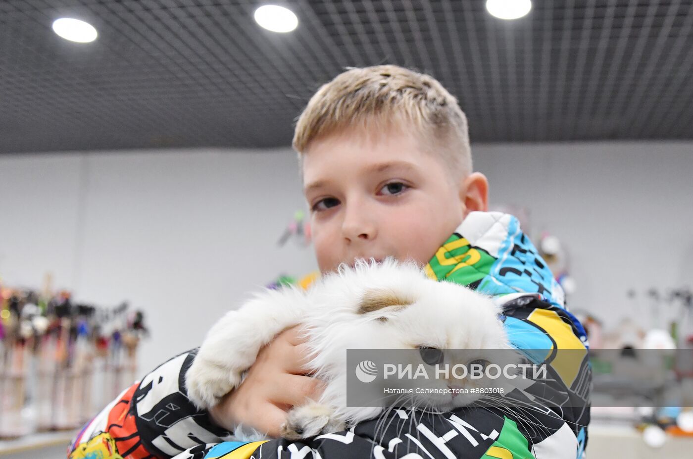 Выставка "КоШарики Шоу" в Москве