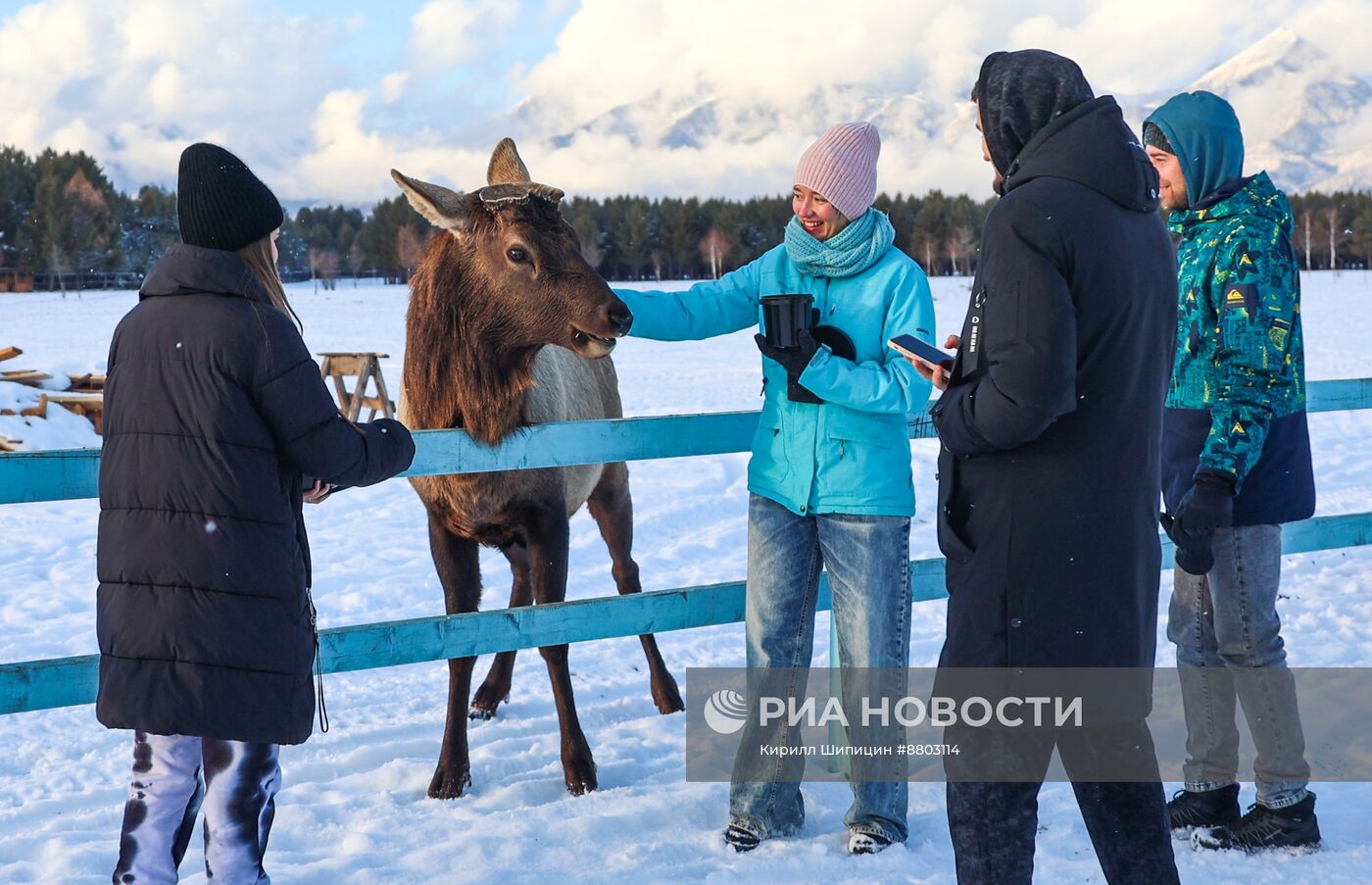 Ферма "Саянский марал" в Республике Бурятия