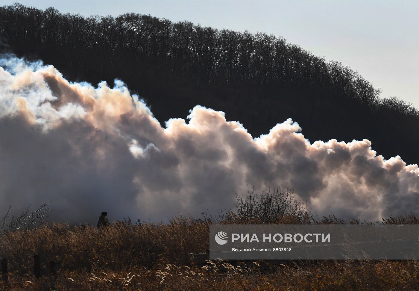 День образования войск РХБЗ