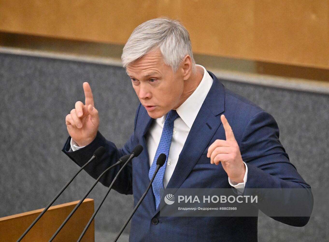 Пленарное заседание Госдумы РФ