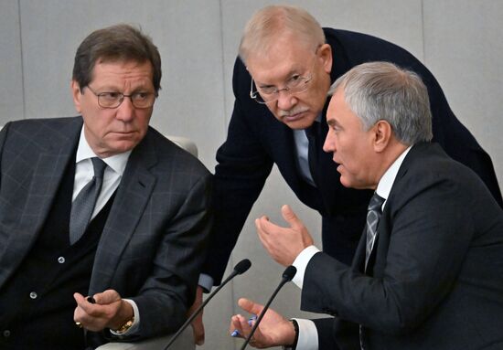 Пленарное заседание Госдумы РФ