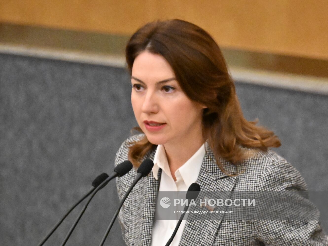 Пленарное заседание Госдумы РФ