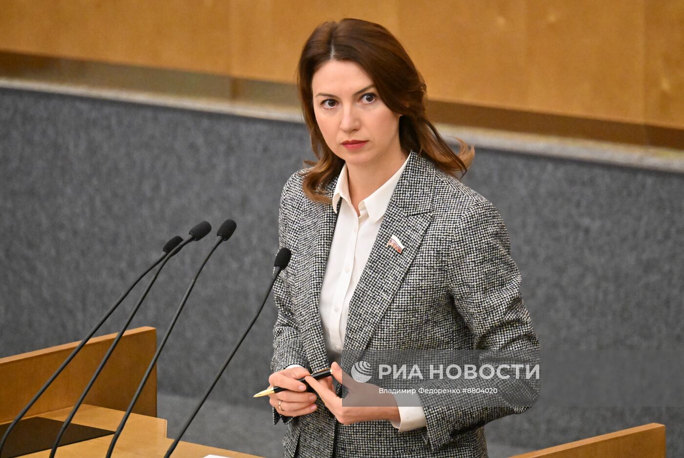 Пленарное заседание Госдумы РФ