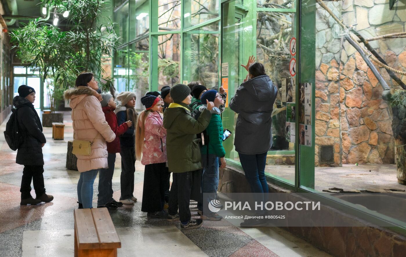 В Ленинградском зоопарке родился детеныш бурых капуцинов