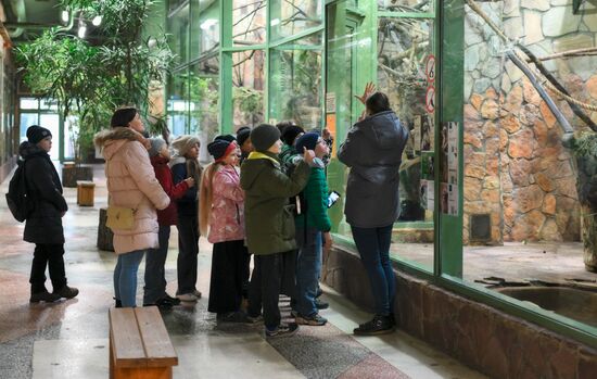 В Ленинградском зоопарке родился детеныш бурых капуцинов