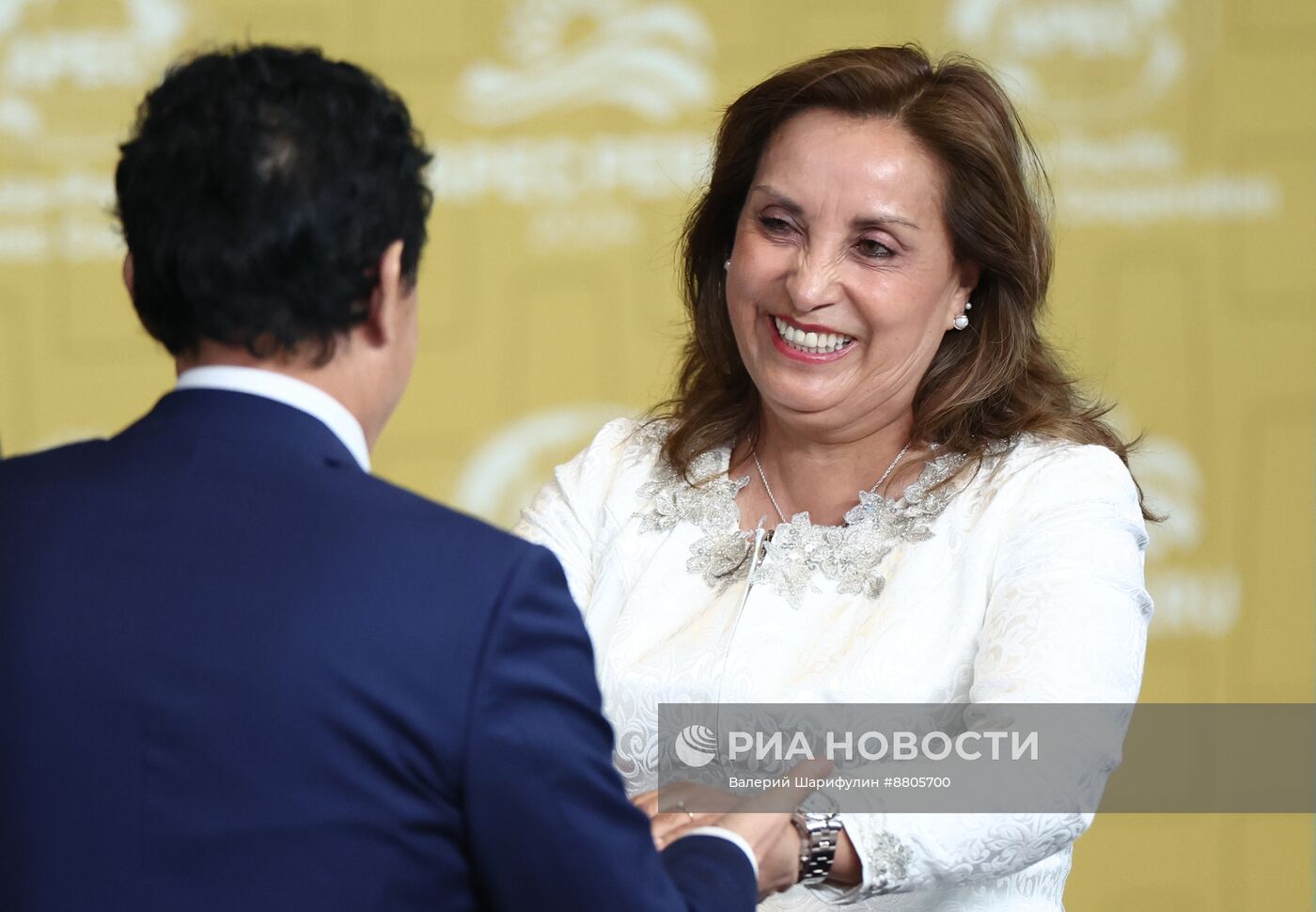 Саммит-форум Азиатско-Тихоокеанского экономического сотрудничества в Перу