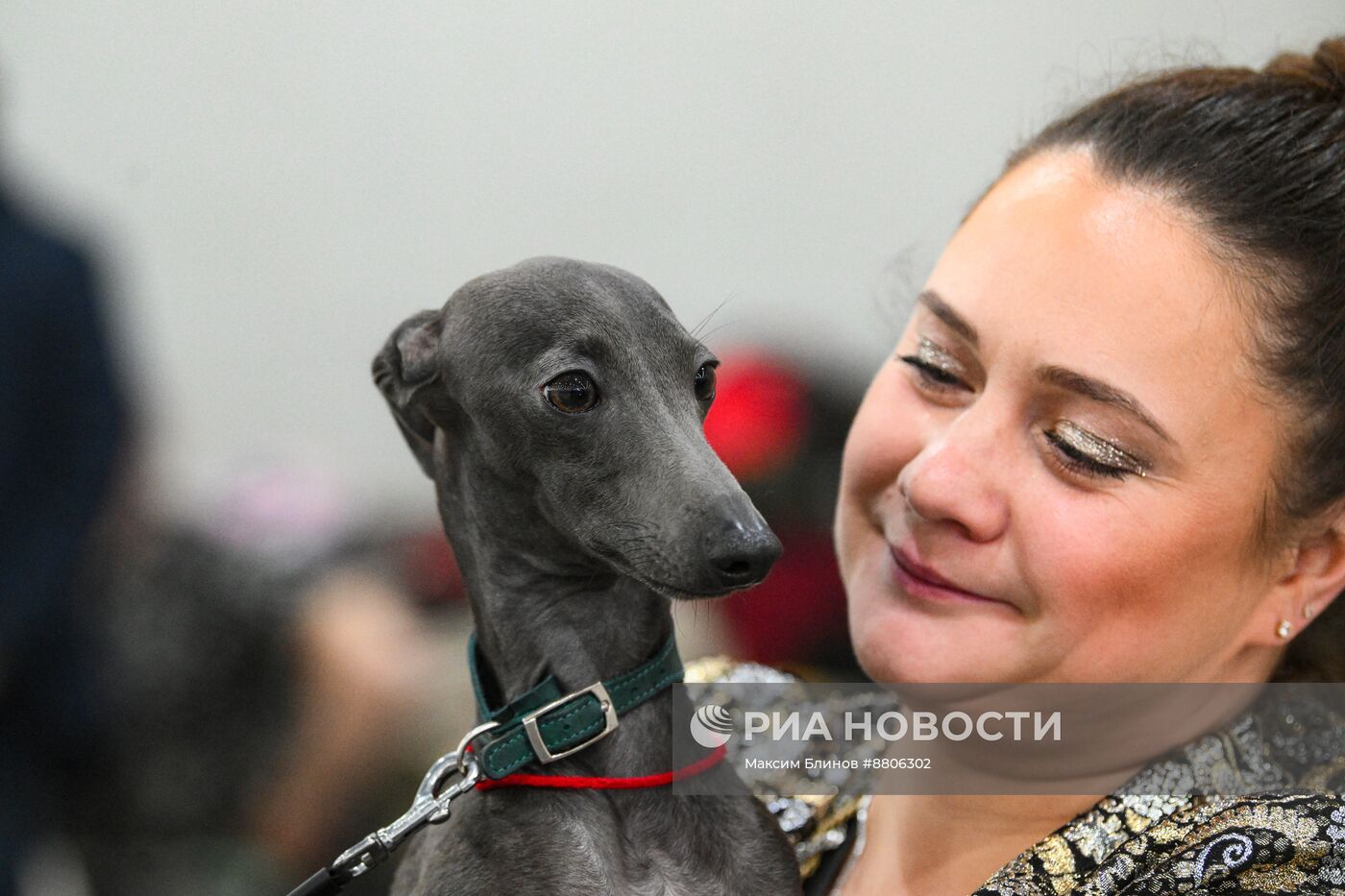 Выставка собак "Евразия"