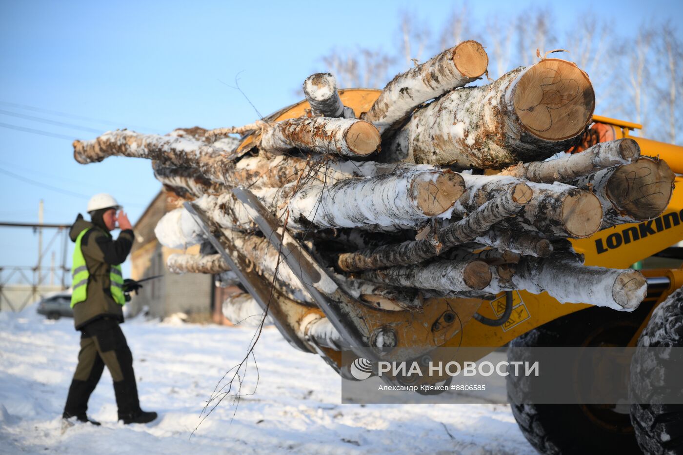 Заготовка дров в Новосибирской области