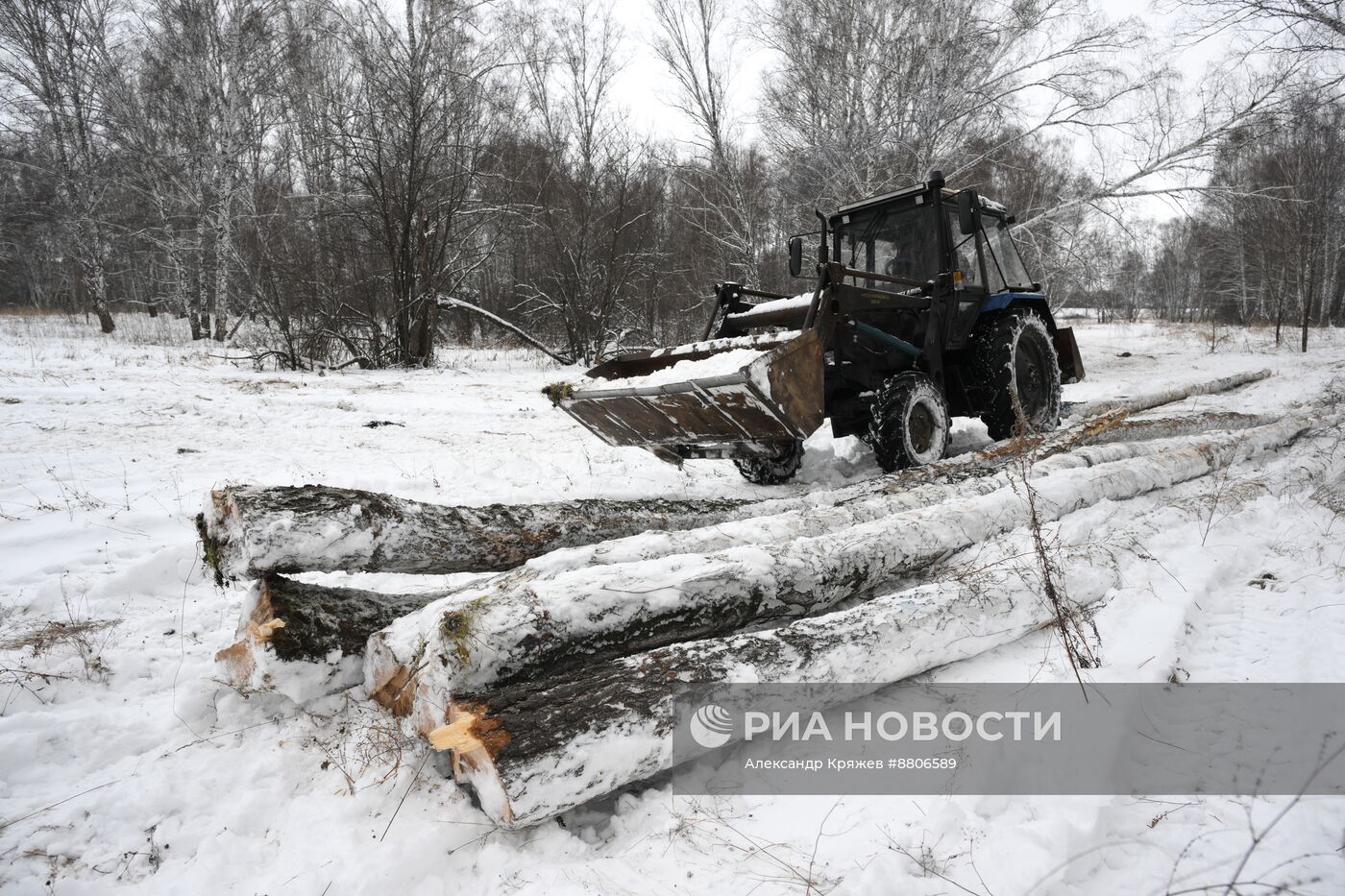Заготовка дров в Новосибирской области