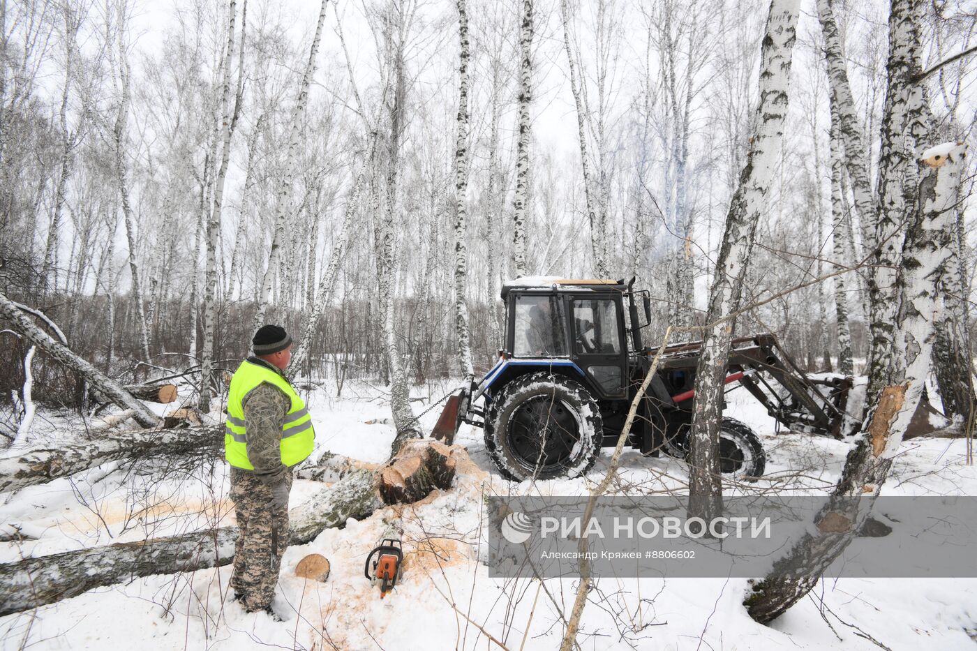 Заготовка дров в Новосибирской области