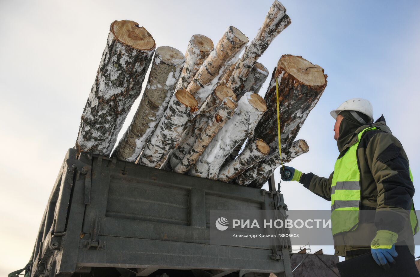 Заготовка дров в Новосибирской области