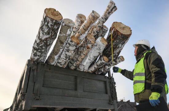 Заготовка дров в Новосибирской области
