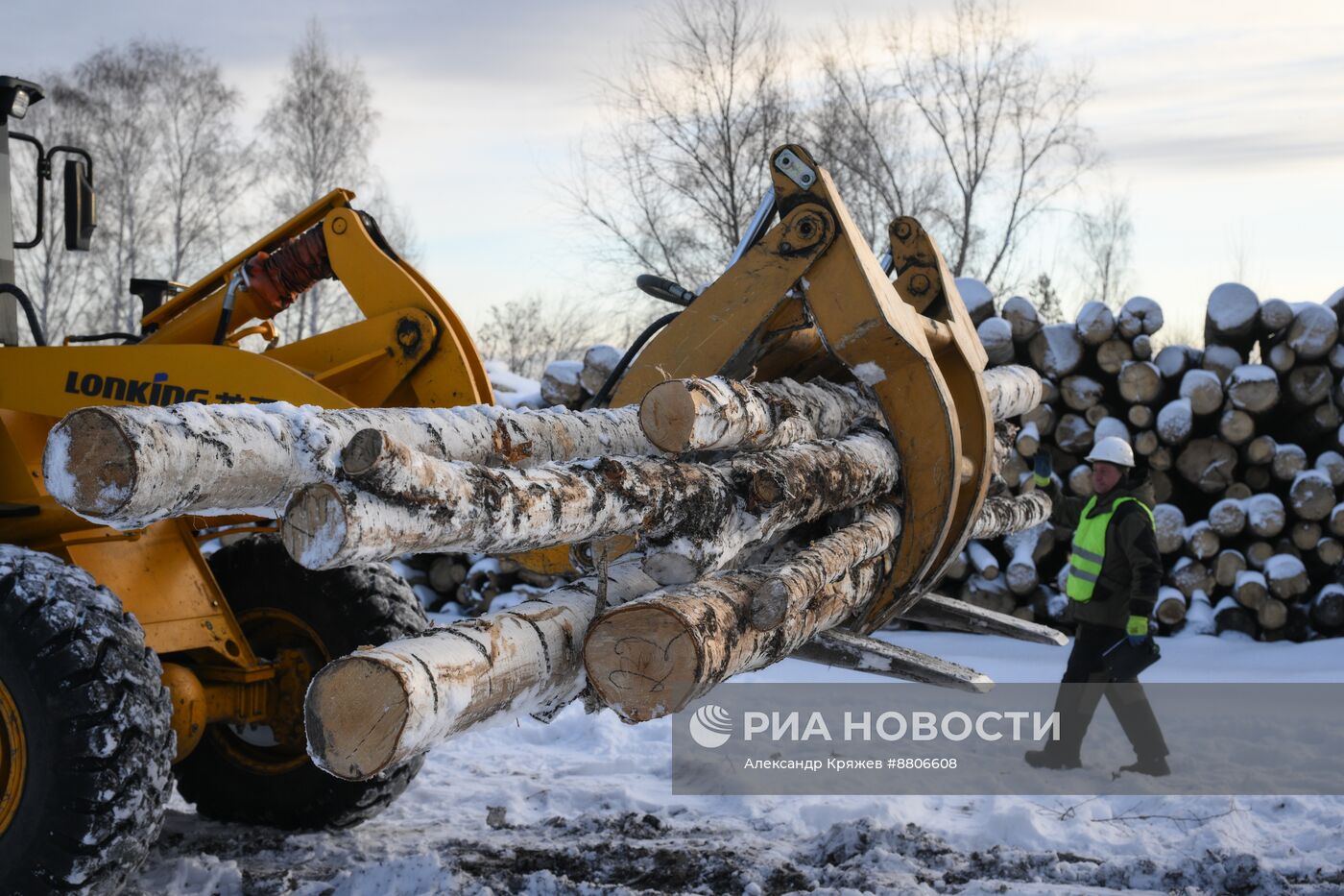 Заготовка дров в Новосибирской области