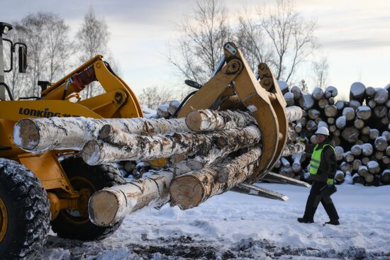 Заготовка дров в Новосибирской области