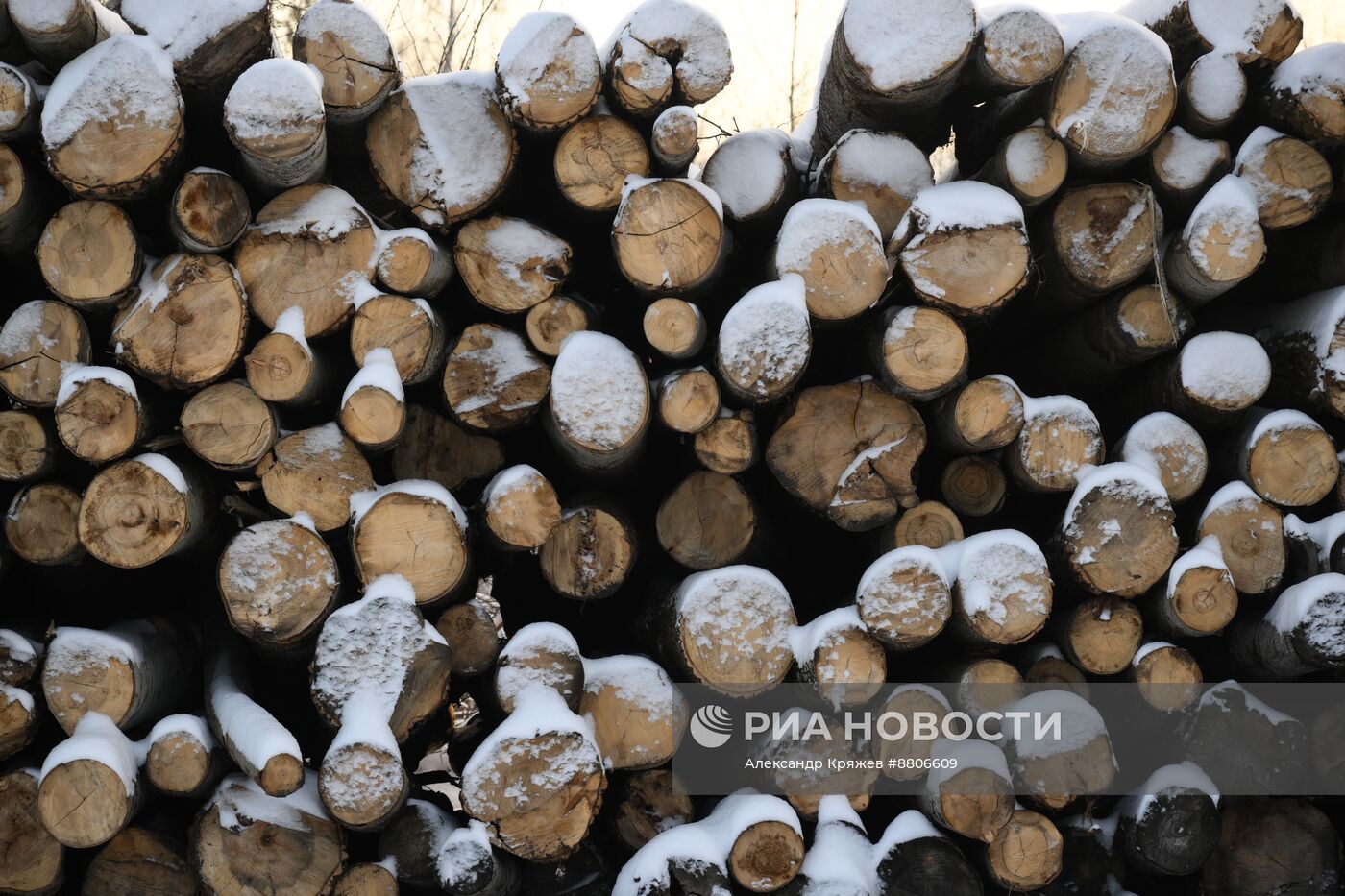 Заготовка дров в Новосибирской области