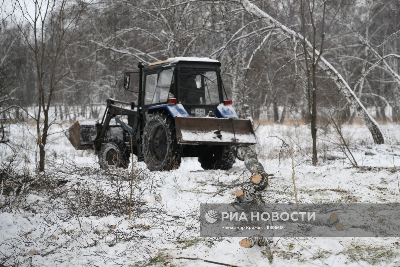 Заготовка дров в Новосибирской области