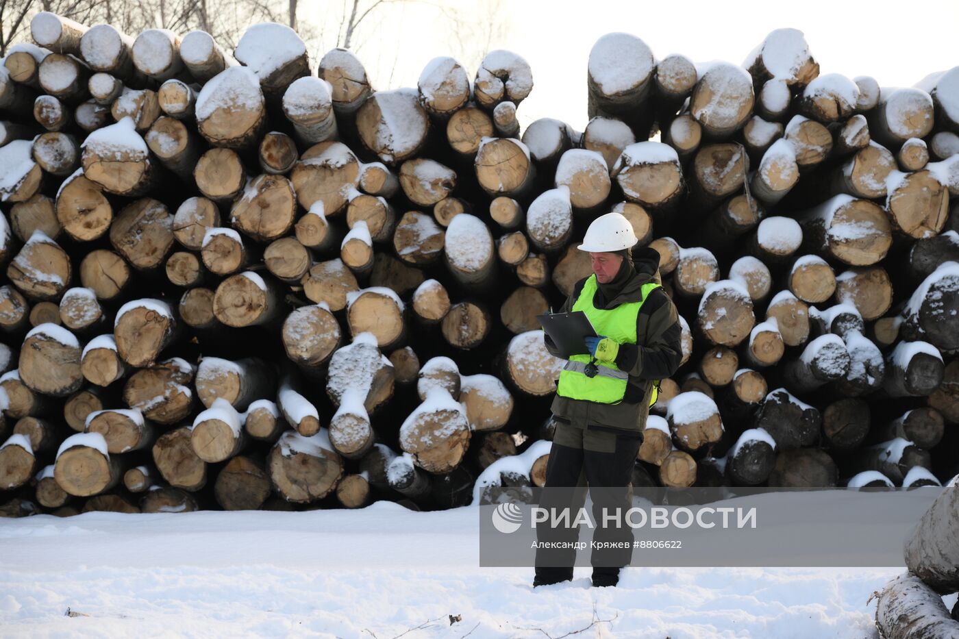 Заготовка дров в Новосибирской области