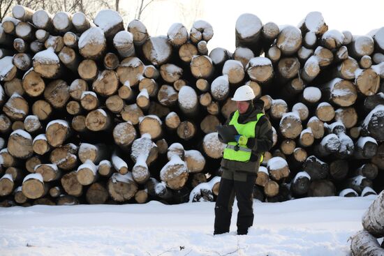 Заготовка дров в Новосибирской области